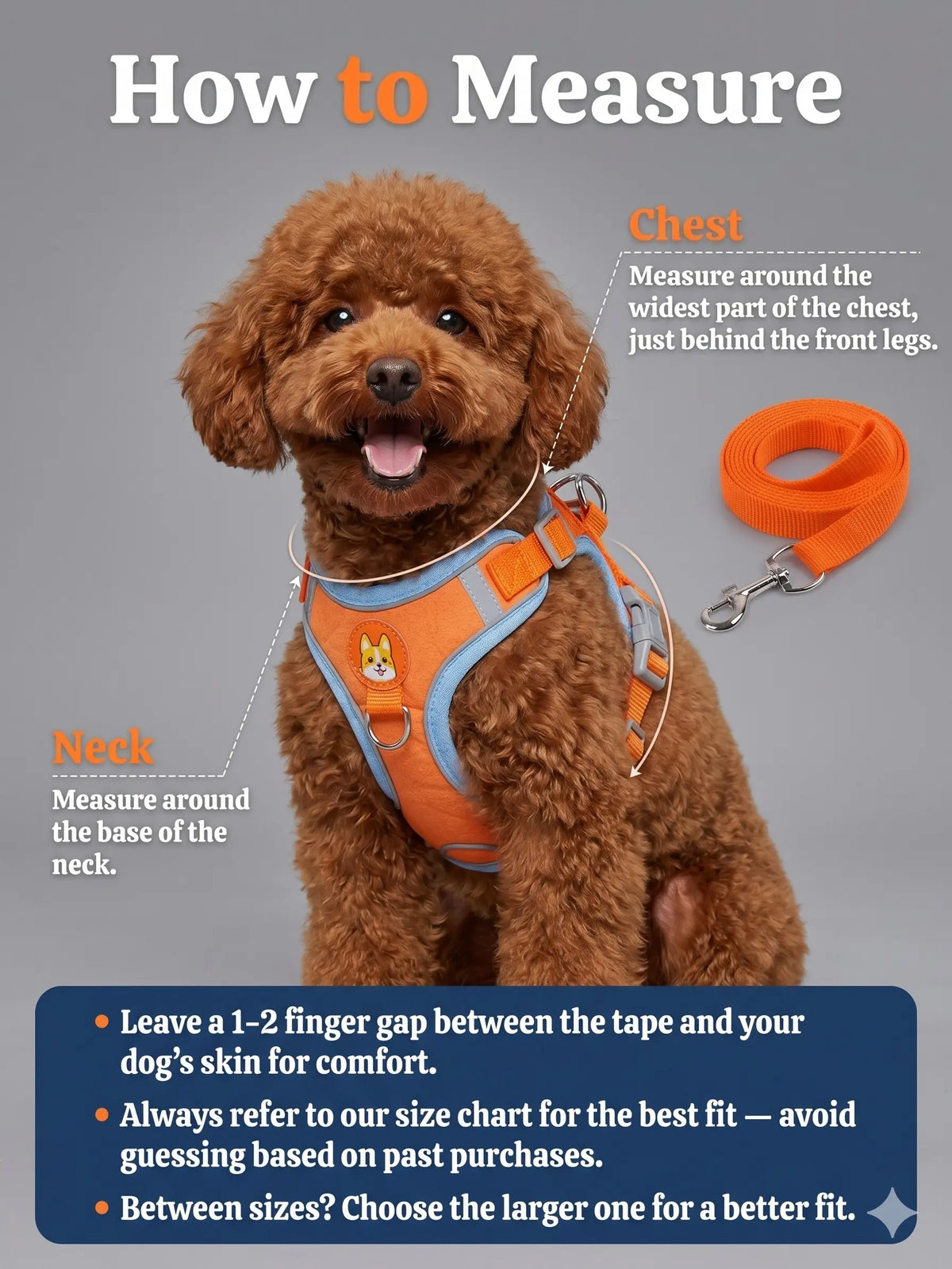 Adjustable 2-Pack Pet Harness and Leash Set, Soft Suede Vest, Durable Reflective Design, Tangle-Free Leash for Effortless Walking, Perfect for Daily and Nighttime Outdoor Activities