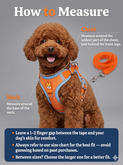 Adjustable 2-Pack Pet Harness and Leash Set, Soft Suede Vest, Durable Reflective Design, Tangle-Free Leash for Effortless Walking, Perfect for Daily and Nighttime Outdoor Activities
