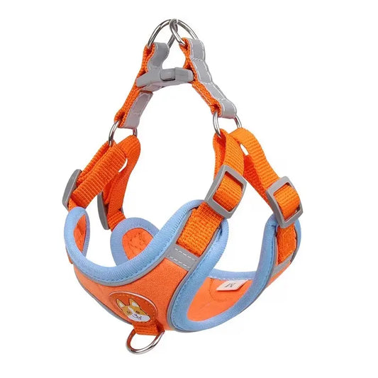 Adjustable 2-Pack Pet Harness and Leash Set, Soft Suede Vest, Durable Reflective Design, Tangle-Free Leash for Effortless Walking, Perfect for Daily and Nighttime Outdoor Activities
