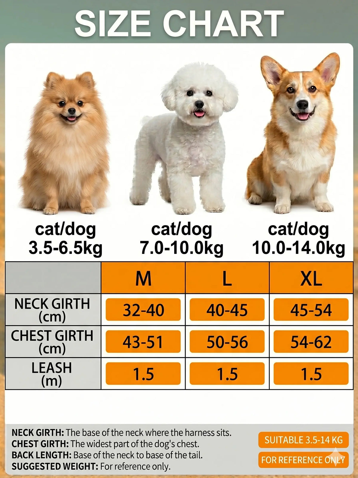 Adjustable 2-Pack Pet Harness and Leash Set, Soft Suede Vest, Durable Reflective Design, Tangle-Free Leash for Effortless Walking, Perfect for Daily and Nighttime Outdoor Activities